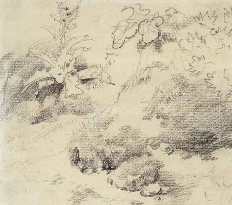 Thomas Gainsborough Study for a Foreground,a Bank with Weeds and Thistles Germany oil painting art